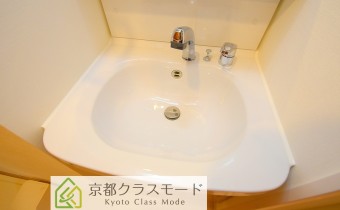 シャンプードレッサー