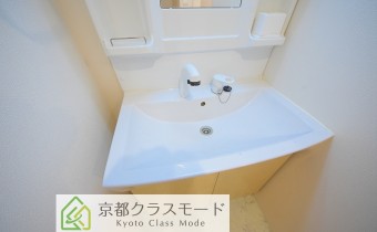 シャンプードレッサー