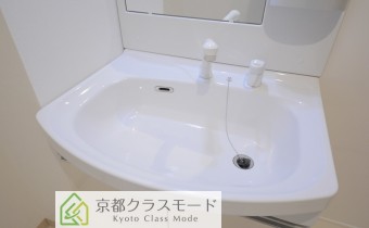 シャンプードレッサー
