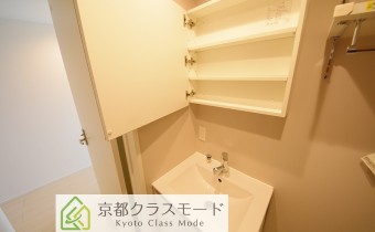 シャンプードレッサー