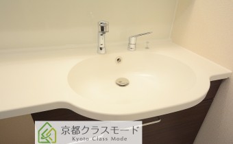 シャンプードレッサー