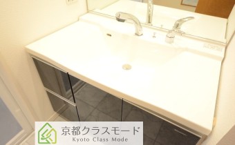 シャンプードレッサー