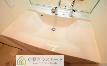 シャンプードレッサー