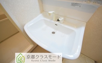 シャンプードレッサー