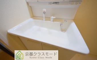 シャンプードレッサー