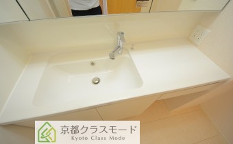 シャンプードレッサー