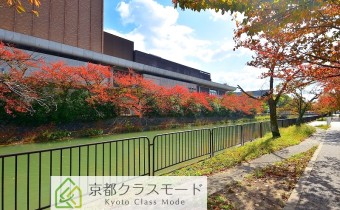 マンション前には琵琶湖疏水が流れてます☆
