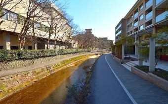 疎水沿いです♪