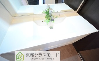 シャンプードレッサー