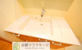 シャンプードレッサー