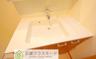 シャンプードレッサー
