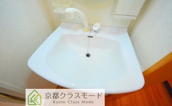 シャンプードレッサー