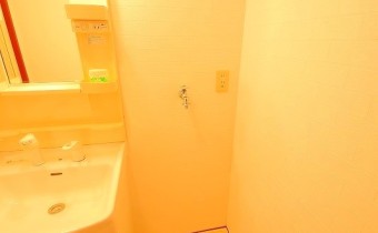 室内洗濯機置場