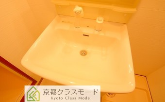 シャンプードレッサー