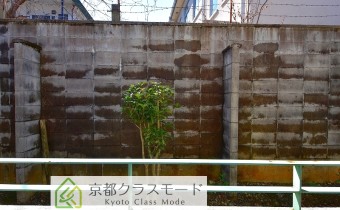 眺望・南向き