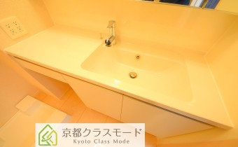 シャンプードレッサー