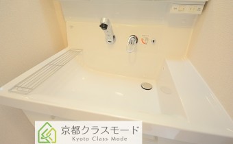 シャンプードレッサー