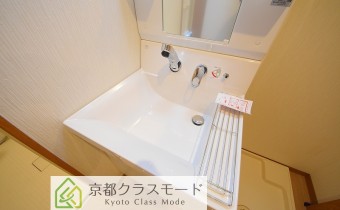 シャンプードレッサー