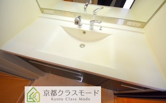 シャンプードレッサー