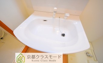 シャンプードレッサー