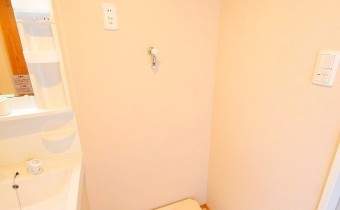 室内洗濯機置場