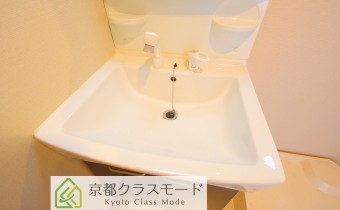 シャンプードレッサー