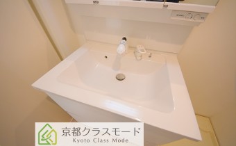 シャンプードレッサー