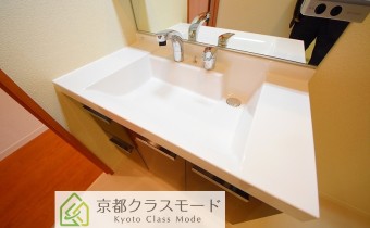 シャンプードレッサー