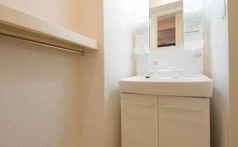 シャンプードレッサー
