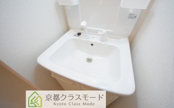 シャンプードレッサー