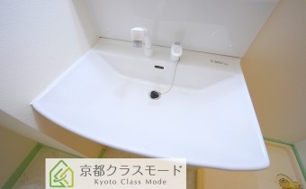 シャンプードレッサー