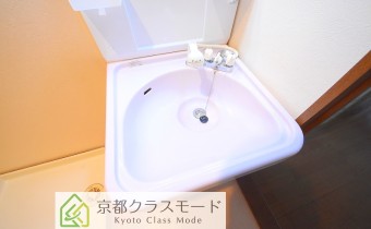 シャンプードレッサー