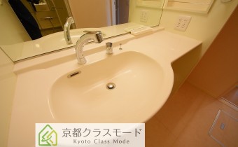 シャンプードレッサー