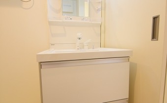 シャンプードレッサー