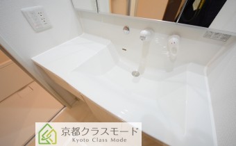 シャンプードレッサー