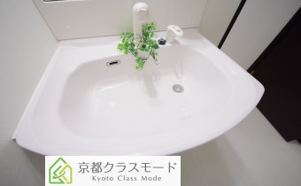 シャンプードレッサー