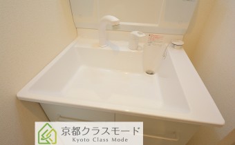 シャンプードレッサー