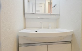 シャンプードレッサー