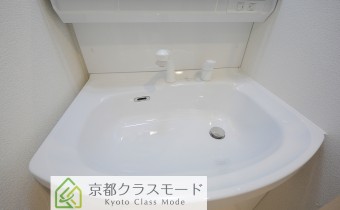 シャンプードレッサー