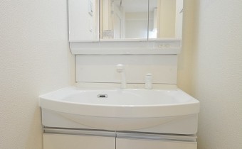 シャンプードレッサー