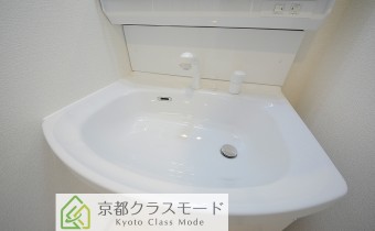 シャンプードレッサー