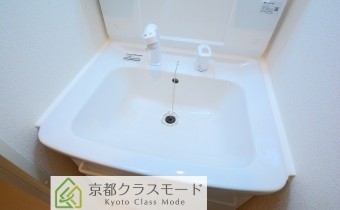 シャンプードレッサー