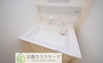 シャンプードレッサー