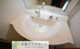シャンプードレッサー