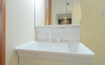 シャンプードレッサー