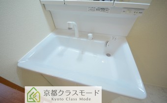 シャンプードレッサー