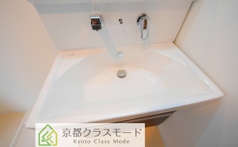 シャンプードレッサー