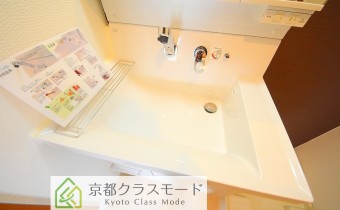 シャンプードレッサー