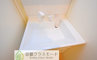 シャンプードレッサー