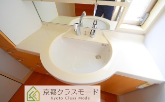 シャンプードレッサー
